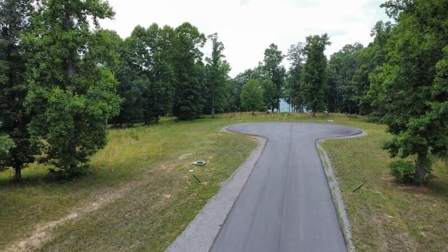 460 Volunteer St, Jasper, TN 37347