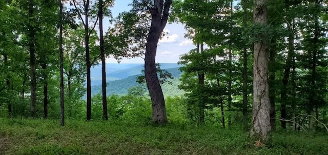 460 Volunteer St, Jasper, TN 37347