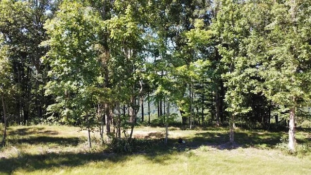 460 Volunteer St, Jasper, TN 37347