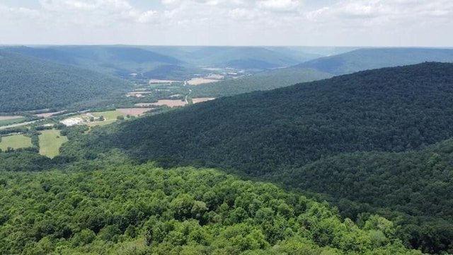 460 Volunteer St, Jasper, TN 37347