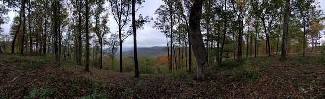 460 Volunteer St, Jasper, TN 37347