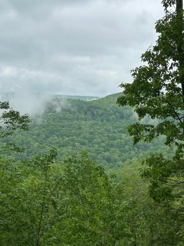 460 Volunteer St, Jasper, TN 37347