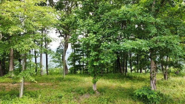 460 Volunteer St, Jasper, TN 37347