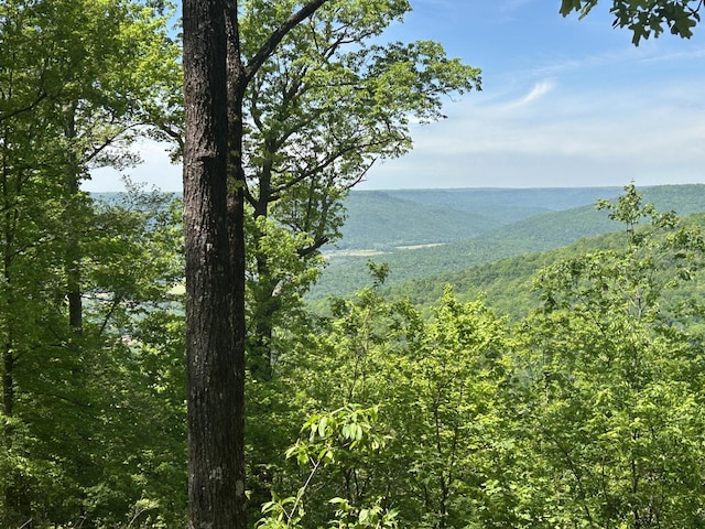 460 Volunteer St, Jasper, TN 37347