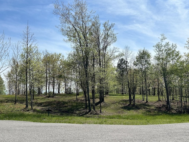 150 Eagle Eye Dr, Jasper, TN 37347