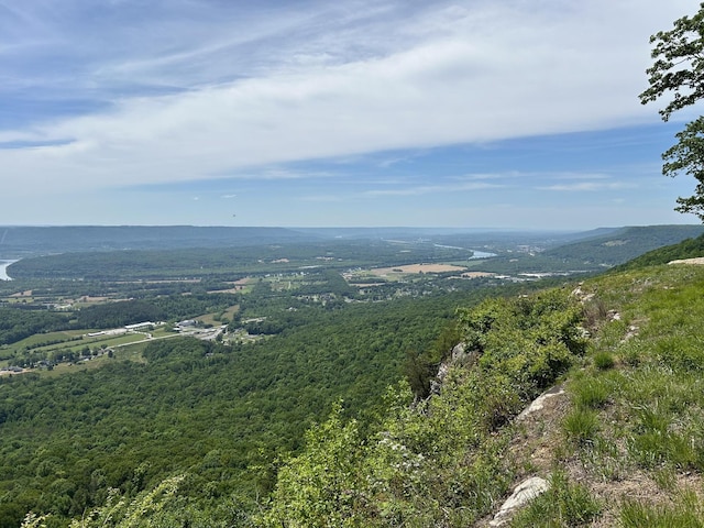 150 Eagle Eye Dr, Jasper, TN 37347