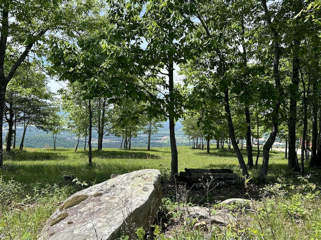 150 Eagle Eye Dr, Jasper, TN 37347
