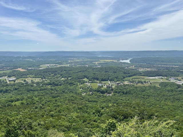 150 Eagle Eye Dr, Jasper, TN 37347
