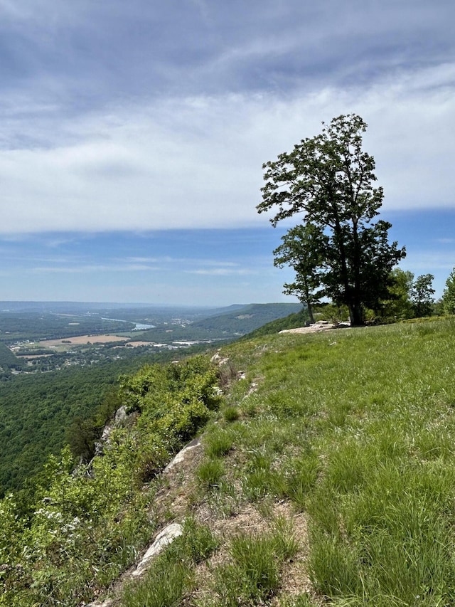 150 Eagle Eye Dr, Jasper, TN 37347