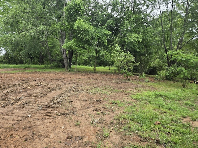 6241 Green Rd, Springfield, TN 37172