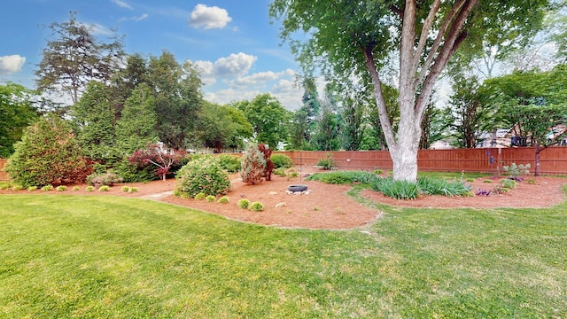 152 Bluegrass Dr, Hendersonville, TN 37075 - view of yard