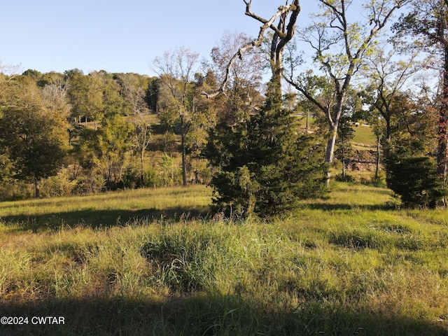 0 Rivers Edge Cir, Bath Springs, TN 38311