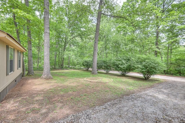 view of yard