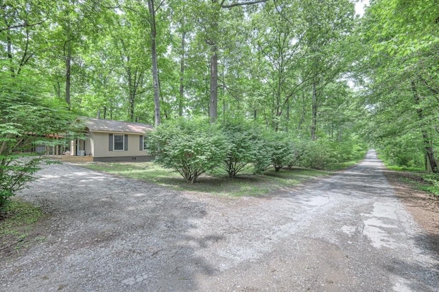 view of front of home featuring metal roof and driveway
