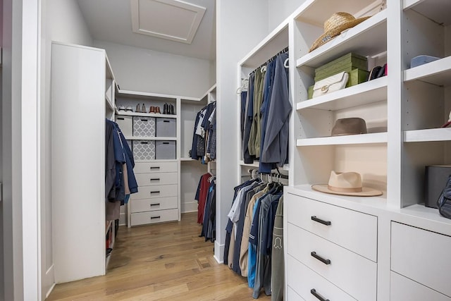 spacious closet with attic access and light wood finished floors