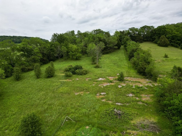 0 Statesville Rd, Watertown, TN 37184