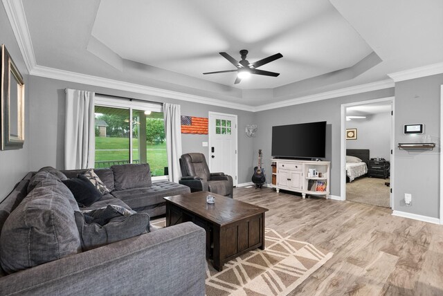 716 Ashwood Dr, Clarksville, TN 37043 - living room with a raised ceiling, ceiling fan, light wood-type flooring, baseboards, and crown molding