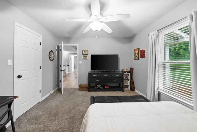716 Ashwood Dr, Clarksville, TN 37043 - carpeted bedroom with a ceiling fan and baseboards