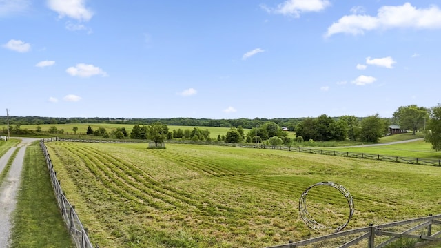 4484 N Pinson Rd, Portland, TN 37148 - view of yard with a view of rural / pastoral area