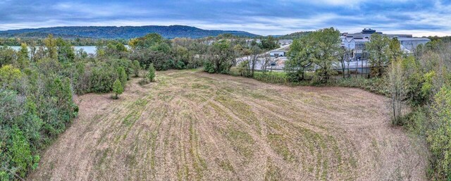 199 Garner Rd, Bridgeport, AL 35740