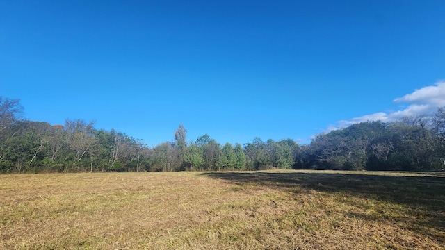 199 Garner Rd, Bridgeport, AL 35740