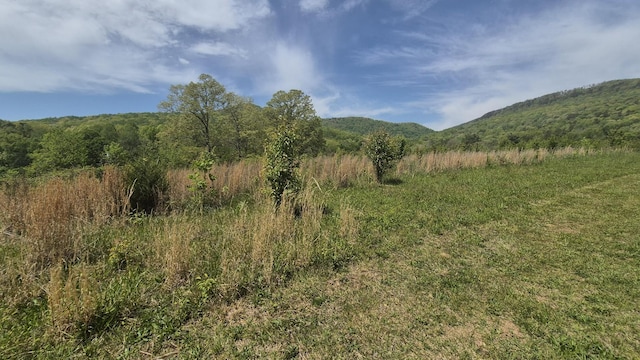 525527 Shady Grove Rd, Sequatchie, TN 37374 - view of mountain backdrop