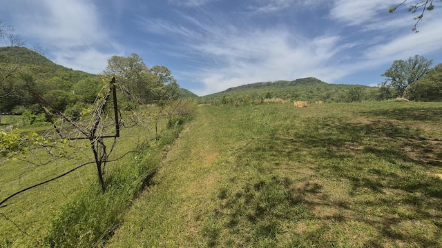 525527 Shady Grove Rd, Sequatchie, TN 37374 - view of mountain background