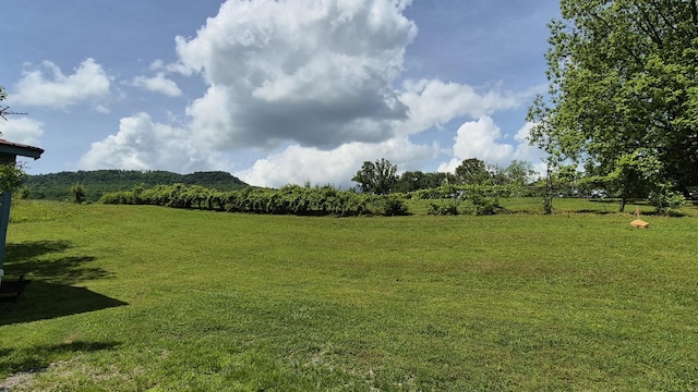525527 Shady Grove Rd, Sequatchie, TN 37374 - view of grassy yard