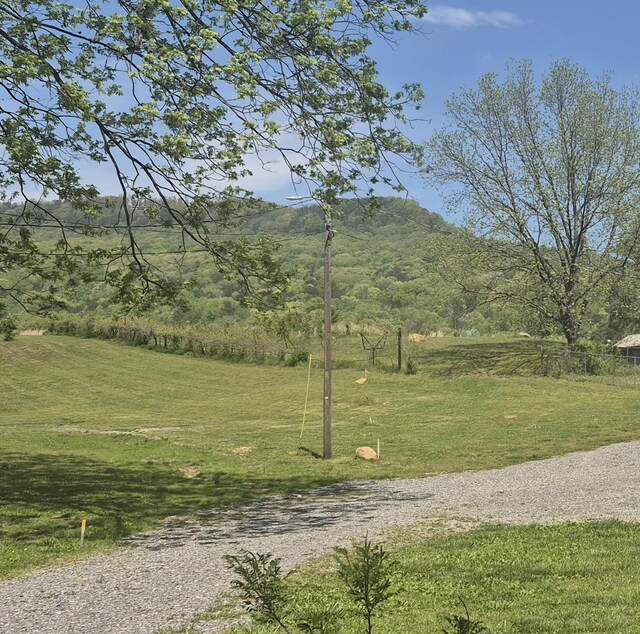 525527 Shady Grove Rd, Sequatchie, TN 37374 - view of green lawn with a mountain view