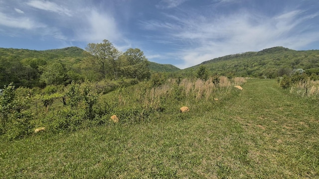 525527 Shady Grove Rd, Sequatchie, TN 37374 - view of mountain background