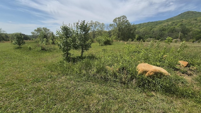 525527 Shady Grove Rd, Sequatchie, TN 37374 - view of nature