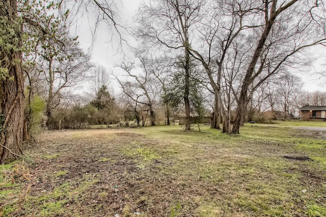 510 Haynes St, Nashville, TN 37207 - photo 19