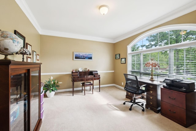 2041 Valley Brook Dr, Brentwood, TN 37027 - home office featuring crown molding, light carpet, and baseboards