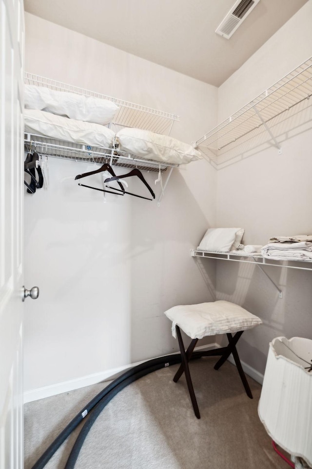 2041 Valley Brook Dr, Brentwood, TN 37027 - walk in closet with carpet