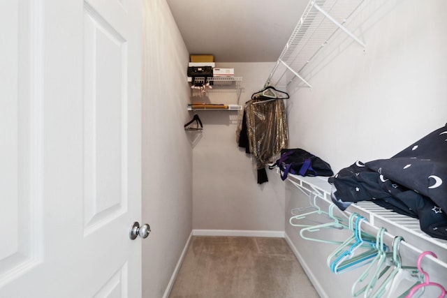 2041 Valley Brook Dr, Brentwood, TN 37027 - spacious closet with carpet floors