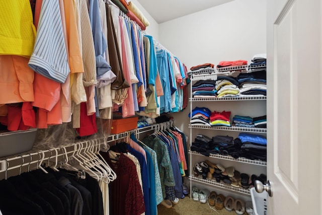 2041 Valley Brook Dr, Brentwood, TN 37027 - view of walk in closet