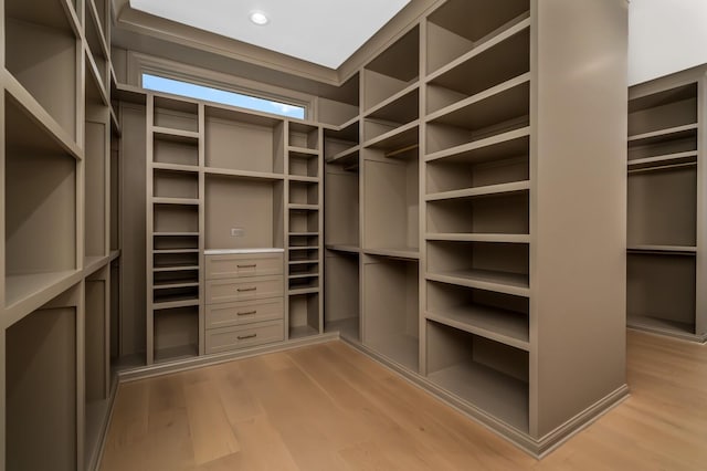 spacious closet featuring light wood-style flooring