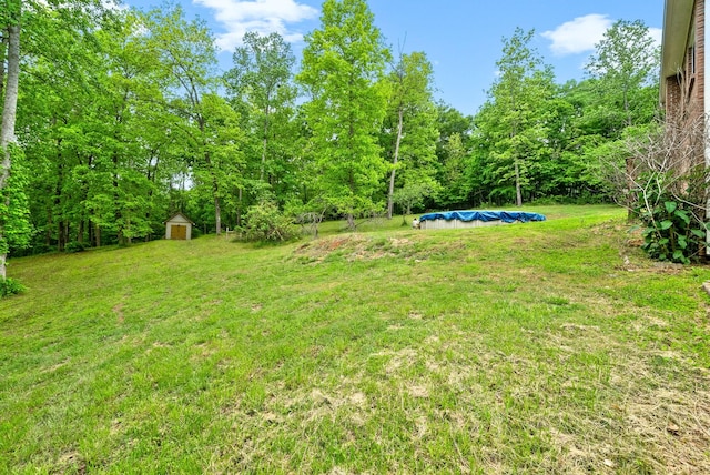 view of grassy yard with a storage unit, an outbuilding, and a forest view