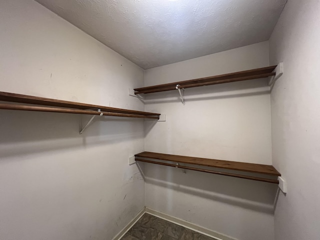 105 Vernon Traylor Dr, Smyrna, TN 37167 - view of walk in closet