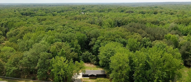 2038 Ogburn Chapel Rd, Clarksville, TN 37042 - view of subject property featuring a forest