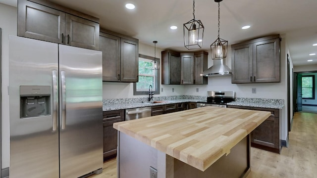 2038 Ogburn Chapel Rd, Clarksville, TN 37042 - kitchen featuring stainless steel appliances, a sink, light wood finished floors, dark brown cabinets, and plenty of natural light