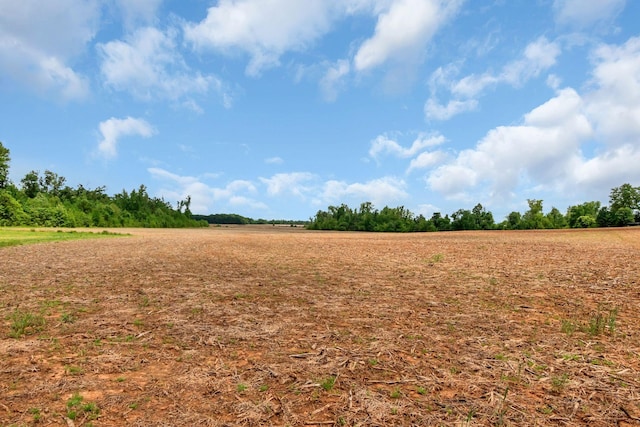 view of local wilderness with rural landscape