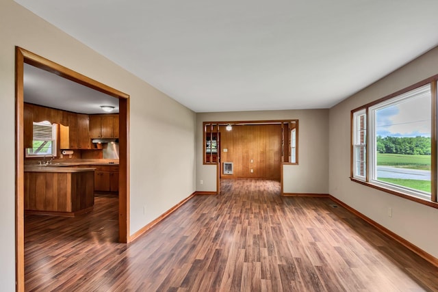 spare room with wood finished floors, plenty of natural light, and a sink