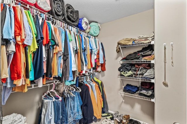 516 Trainmaster Dr, Maryville, TN 37804 - view of spacious closet