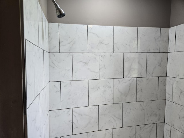 307 E Commerce St, Waverly, TN 37185 - bathroom view of tiled shower