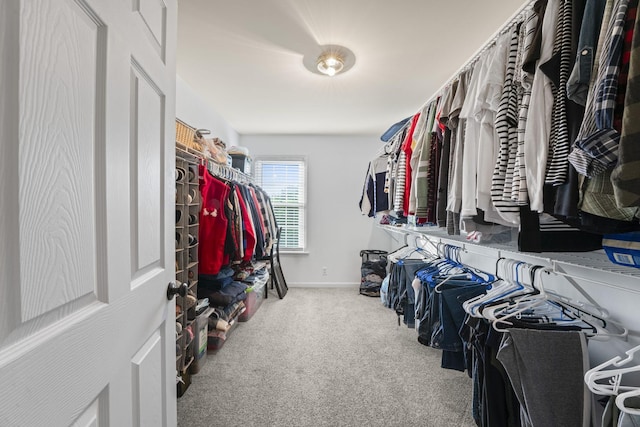 3630 W Trimble Rd, Milton, TN 37118 - spacious closet with carpet flooring