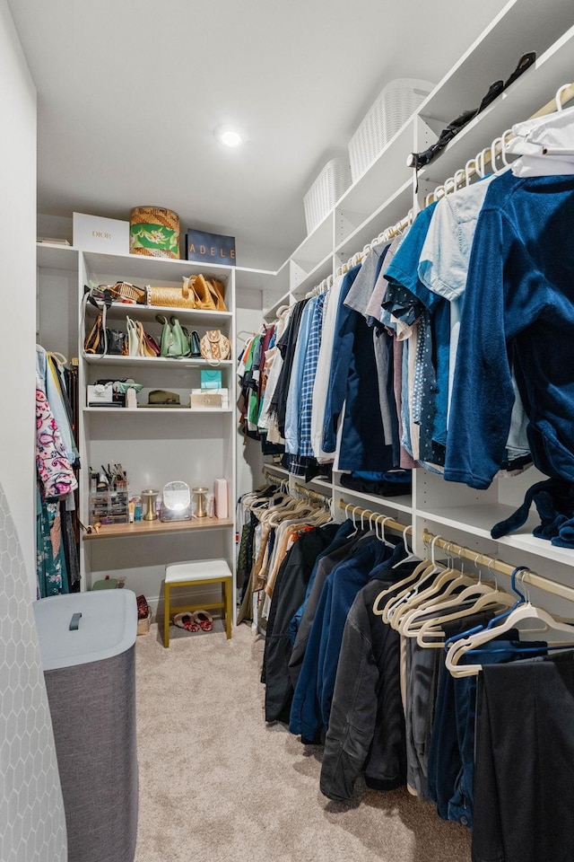 spacious closet with carpet