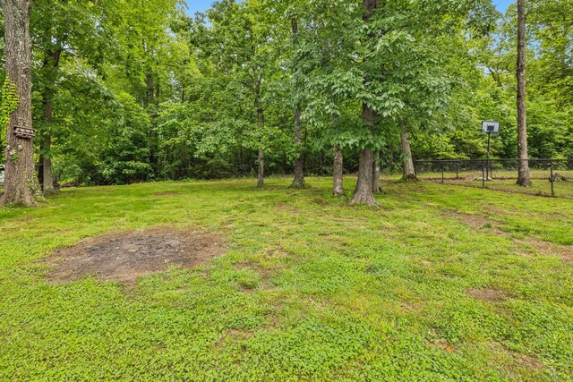 2117 Academy Way, La Vergne, TN 37086 - photo 47