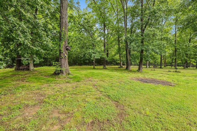 2117 Academy Way, La Vergne, TN 37086 - photo 49