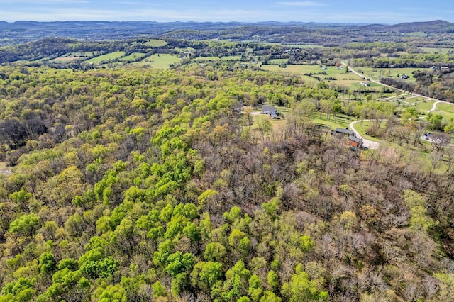 3663 Cainsville Rd, Lebanon, TN 37090 - photo 50